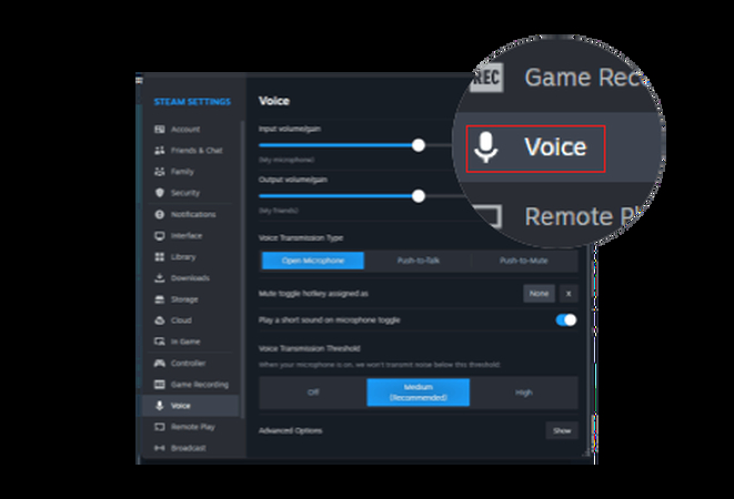 sync steam voice engine