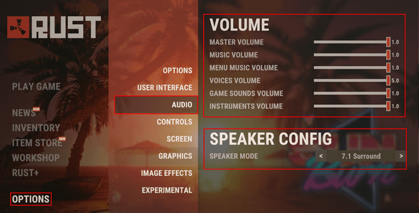 verify in game settings