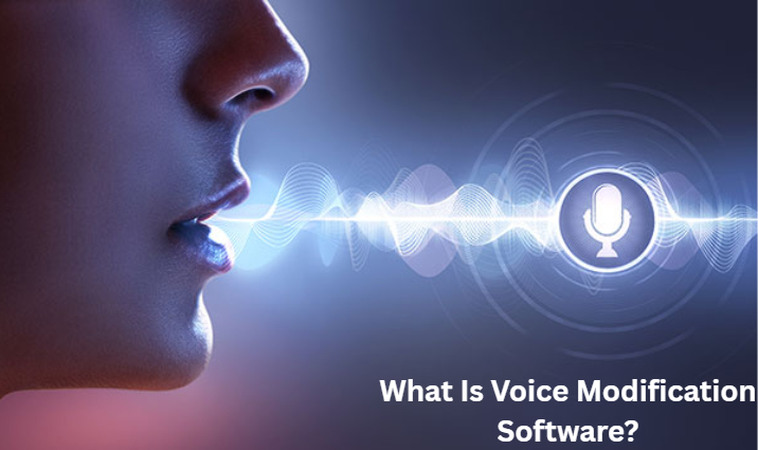 explanation of voice modification software