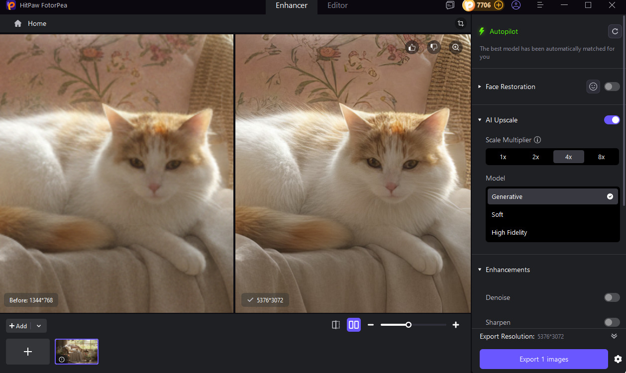 enhance calico cat photo