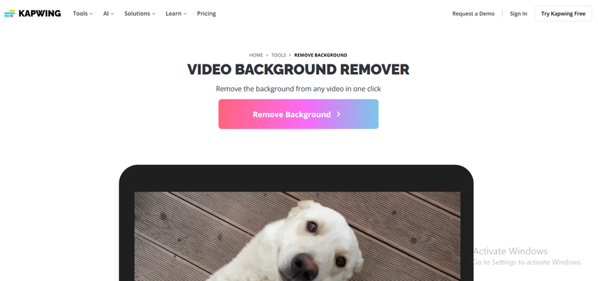 kapwing ai object remove from video