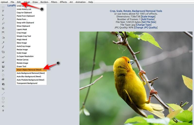 removedor de objetos do lunapic