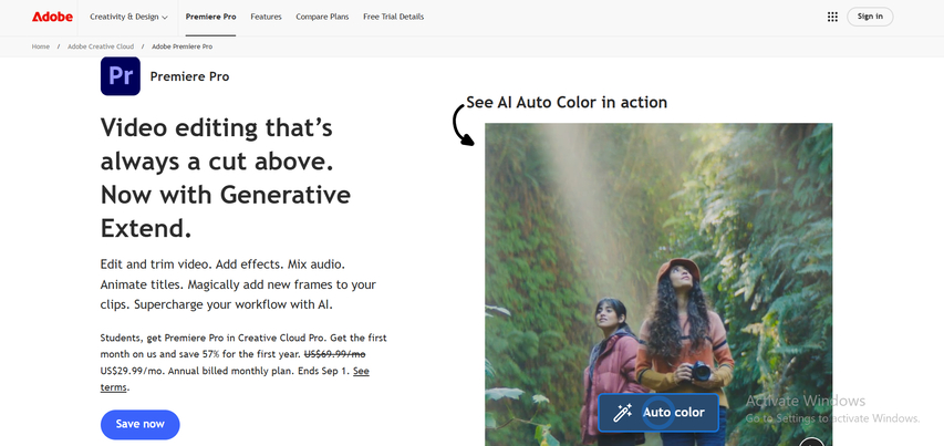 premiere pro online object remover