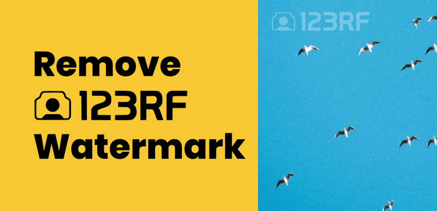 Best 5 123RF AI Watermark Remover for Desktop & Online