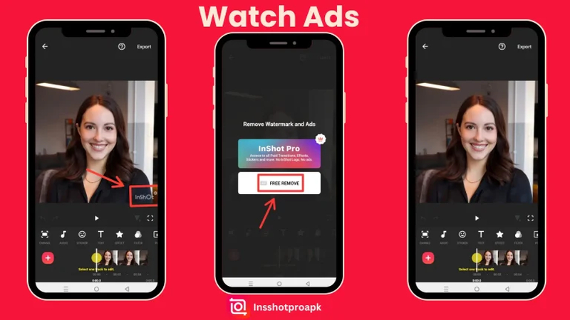 remove inshot watermark video