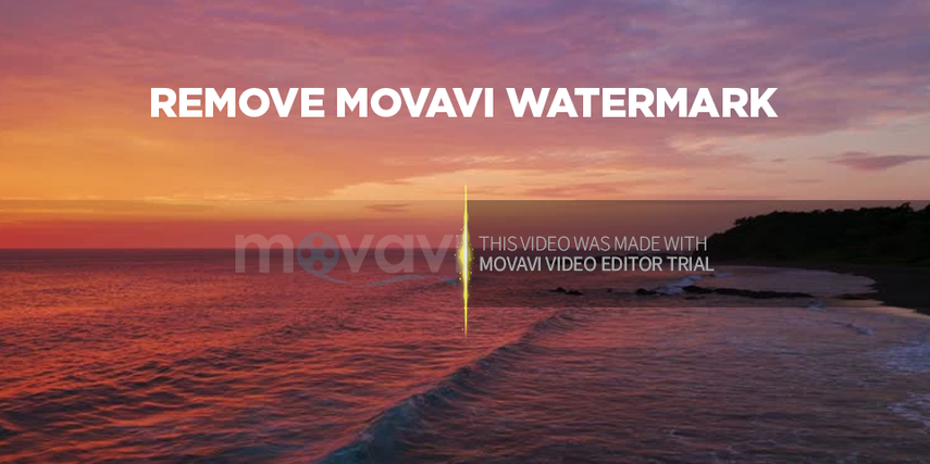 Master How to Remove Movavi Watermark in 2024