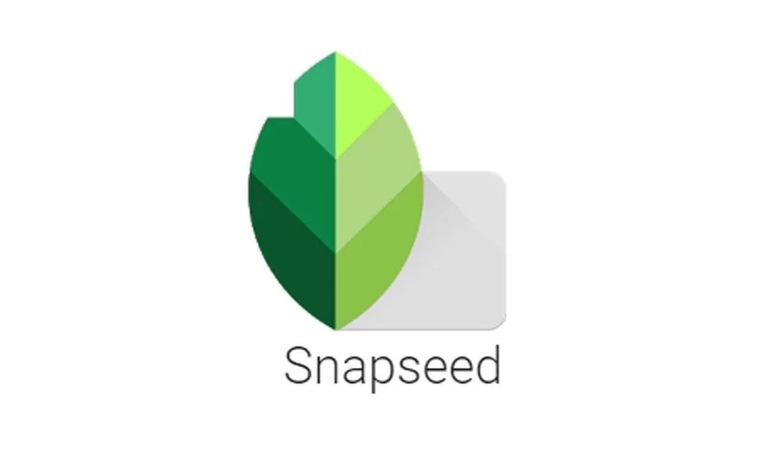 snapspeed power line remover
