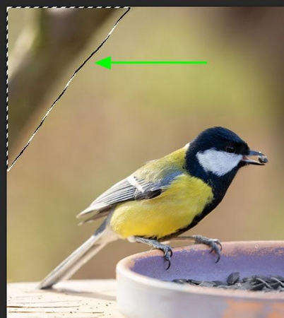 단계 1 객체 윤곽 지정 콘텐츠 인식