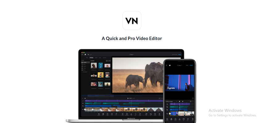 vn video editor and character remover