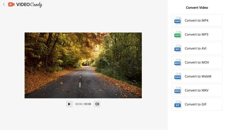 VideoCandy web interface