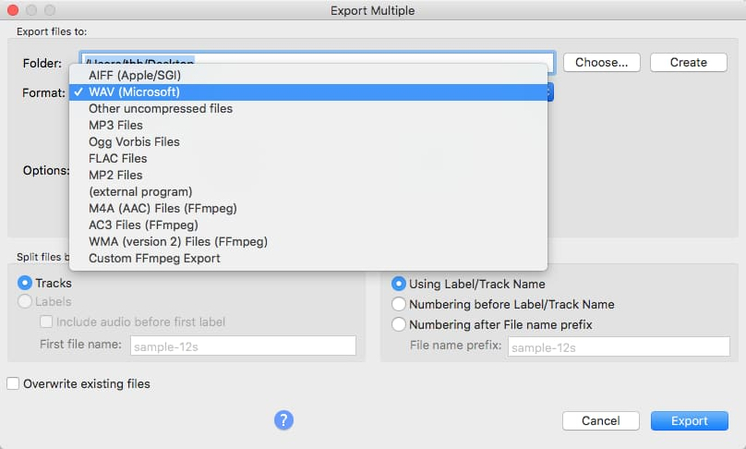 在 Audacity 中將 MP3 匯出為 WAV