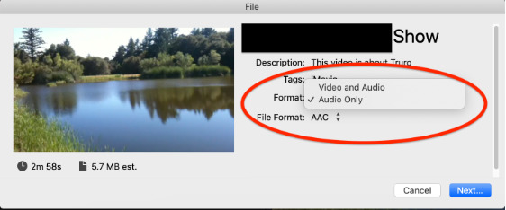 تصدير الصوت فقط في iMovie