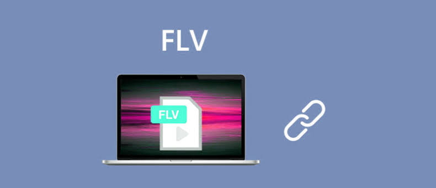Lightweight FLV player app.