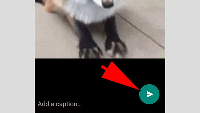 how to add gif in whatsapp