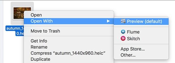 open HEIC on Mac using Preview app