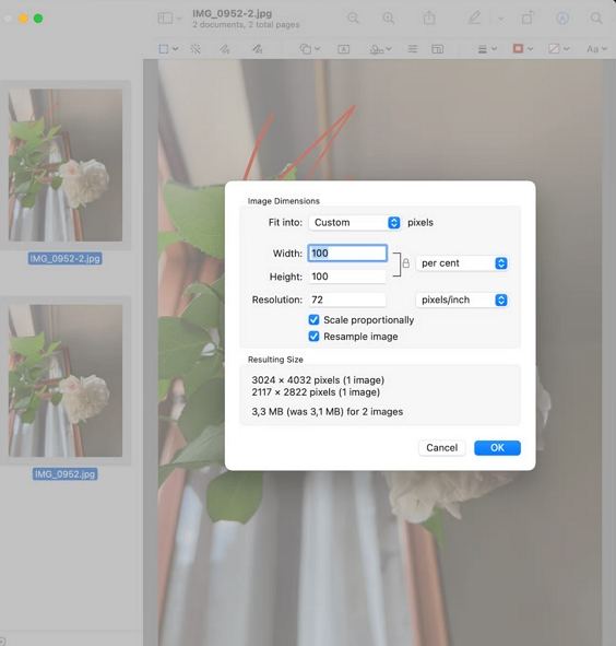 resize multiple images on mac using preview