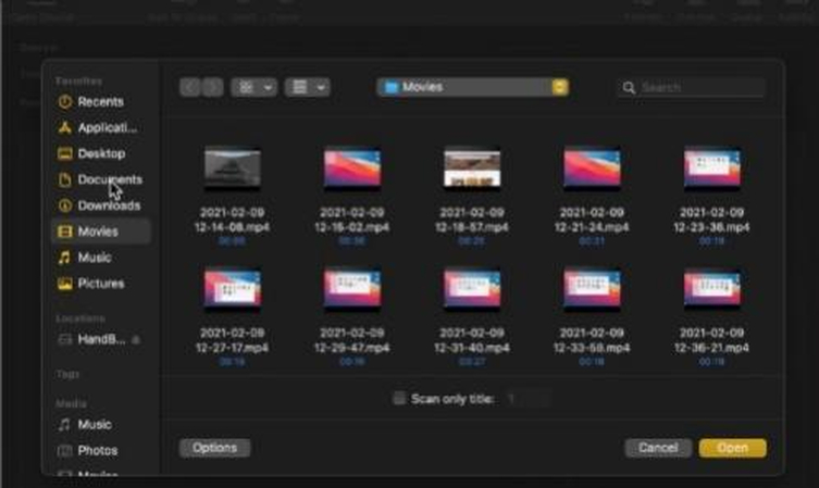 Handbrake Videos importieren