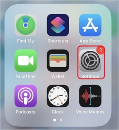 iphone settings button