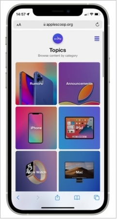 아이폰 사파리에서 WebM 재생