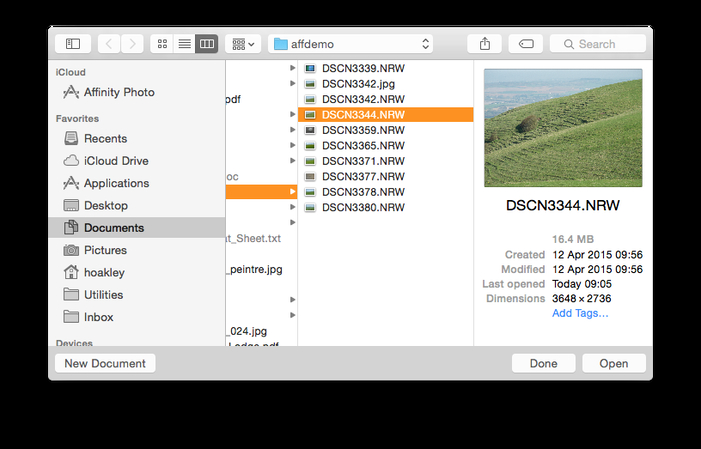raw to jpeg conversion with professional editing tools