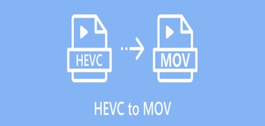 process to convert hevc to mov