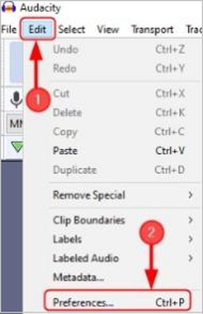 audacity preferences