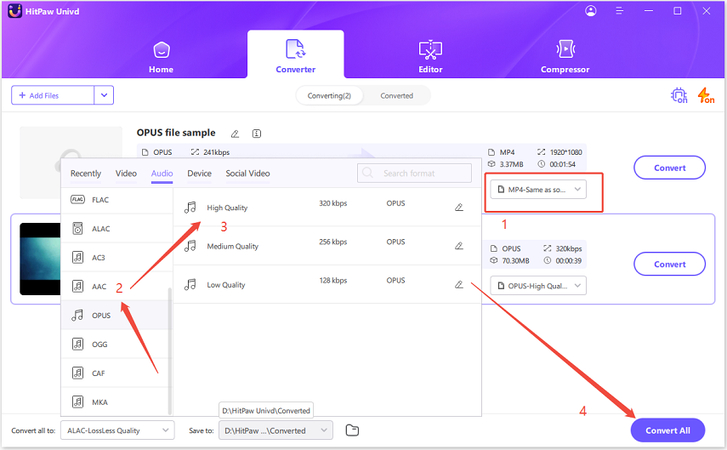 set output format hitpaw univd