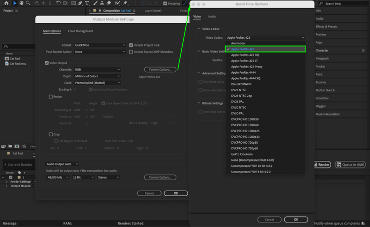 Adjusting format options like codec and bitrate