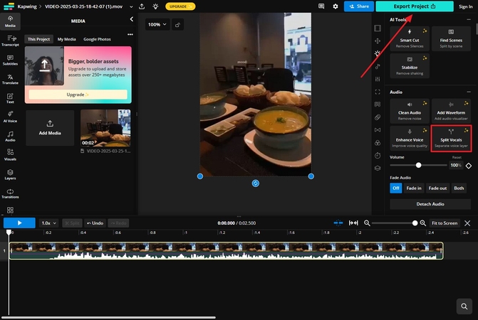 export video without bgm kapwing