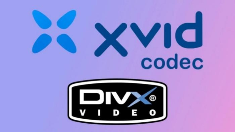 xvid vs divx introduction