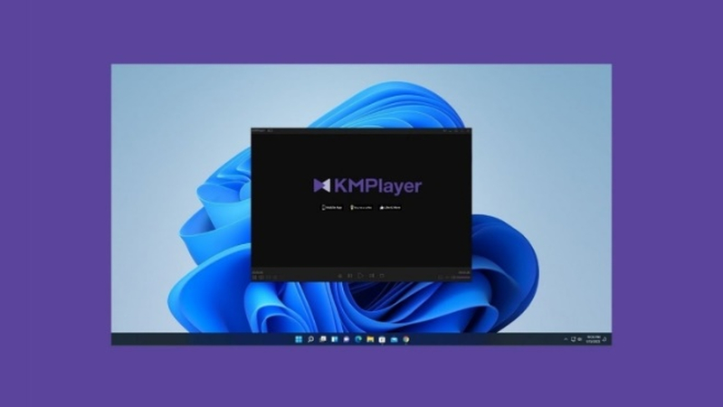kmplayer open swf video