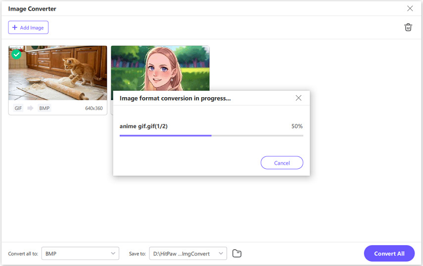 gifs to bmp conversion process
