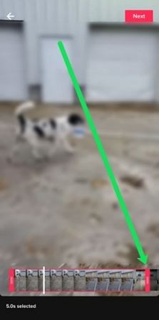 trim stitched tiktok video