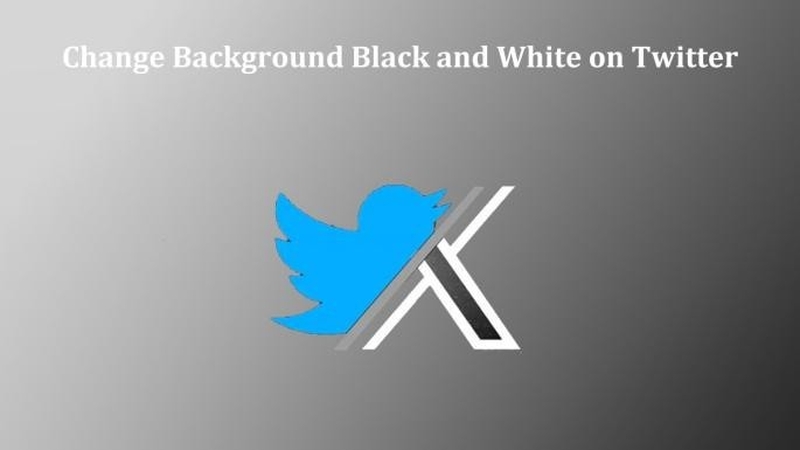 how to change the background color of twitter