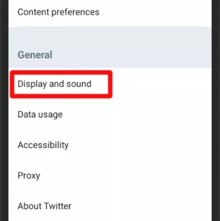 went to display and sound option