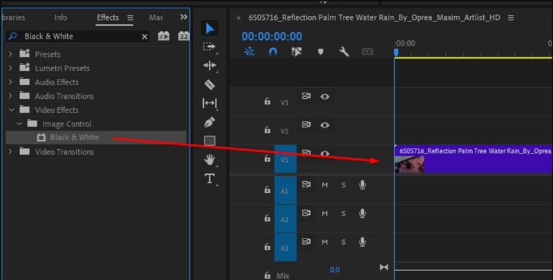 Premiere Pro에서 흑백 효과 적용