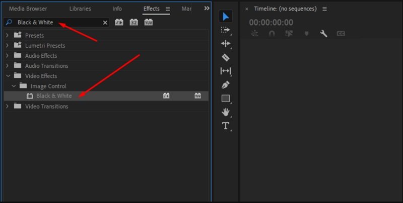 Premiere Pro에서 비디오 흑백 만들기