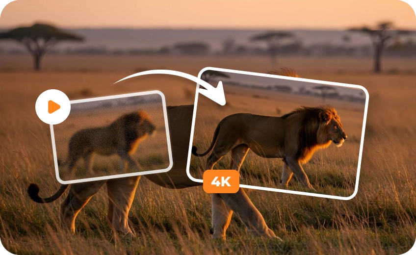 Enhance Documentary Footage