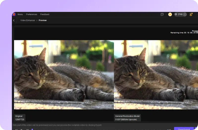 export enhanced cat videos